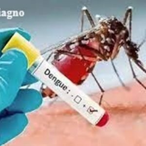 Quickdiagno dengue Test